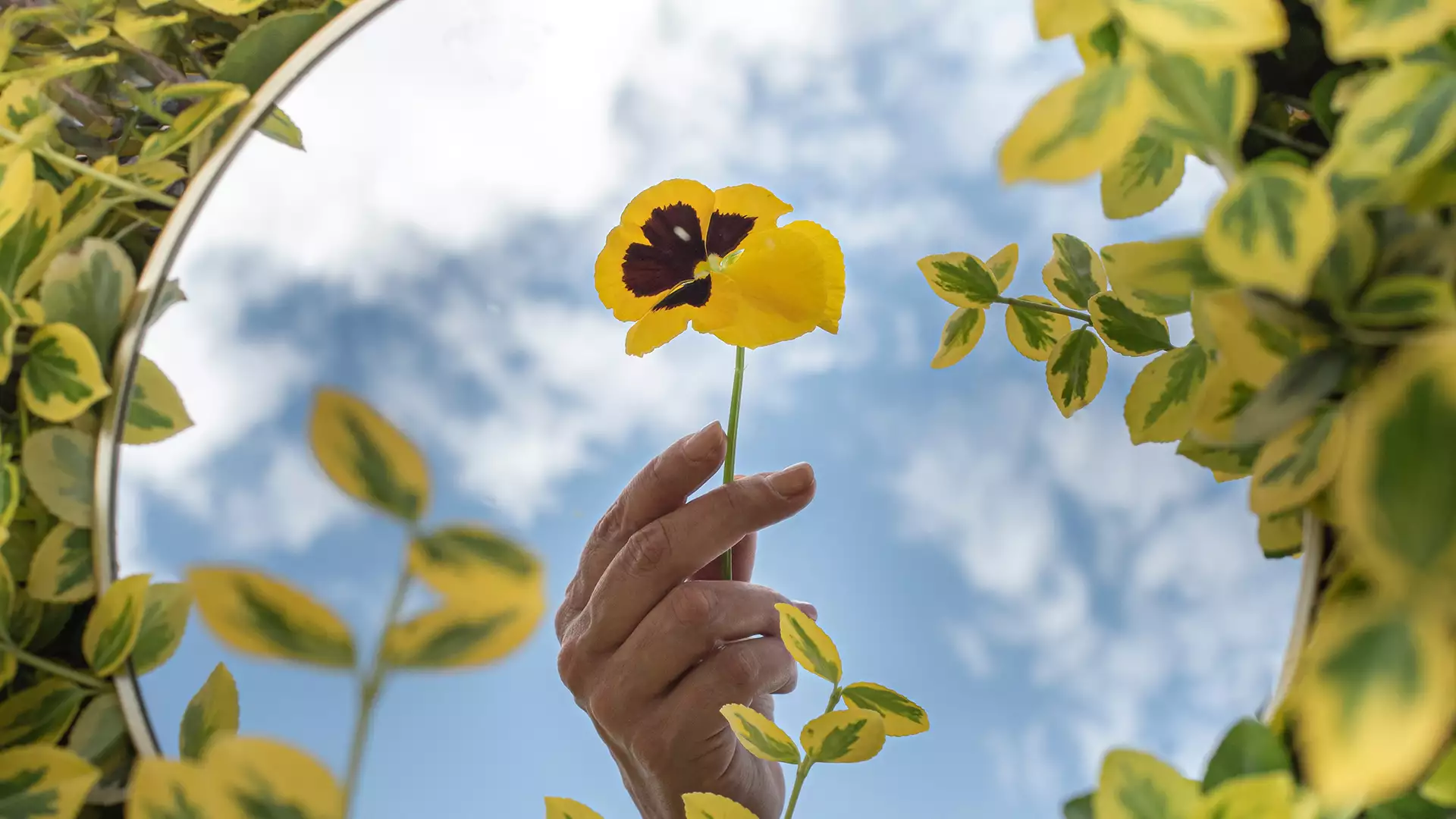 A mirror on the ground reflecting the sky and a hand holding a flower